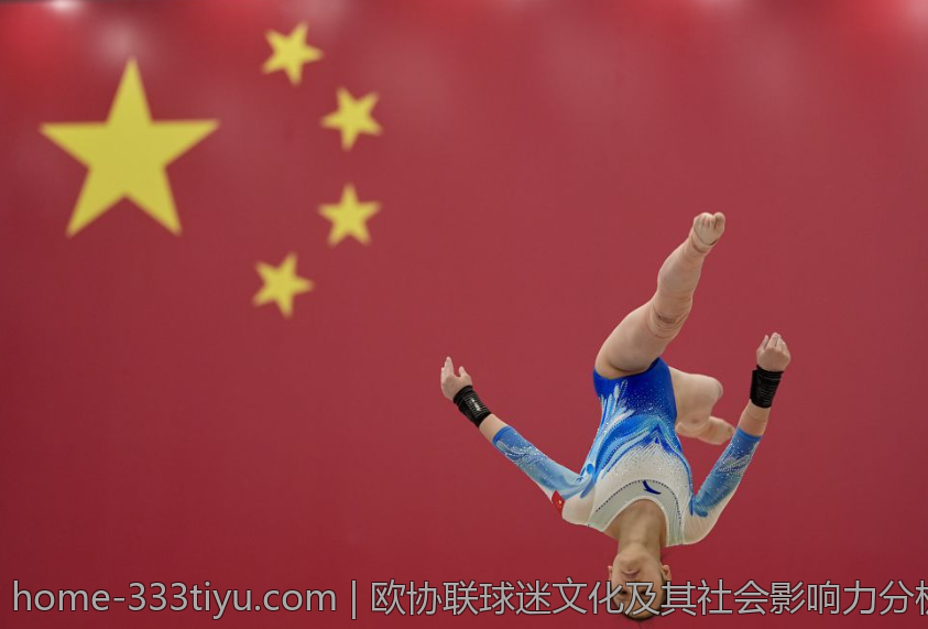欧协联球迷文化及其社会影响力分析
