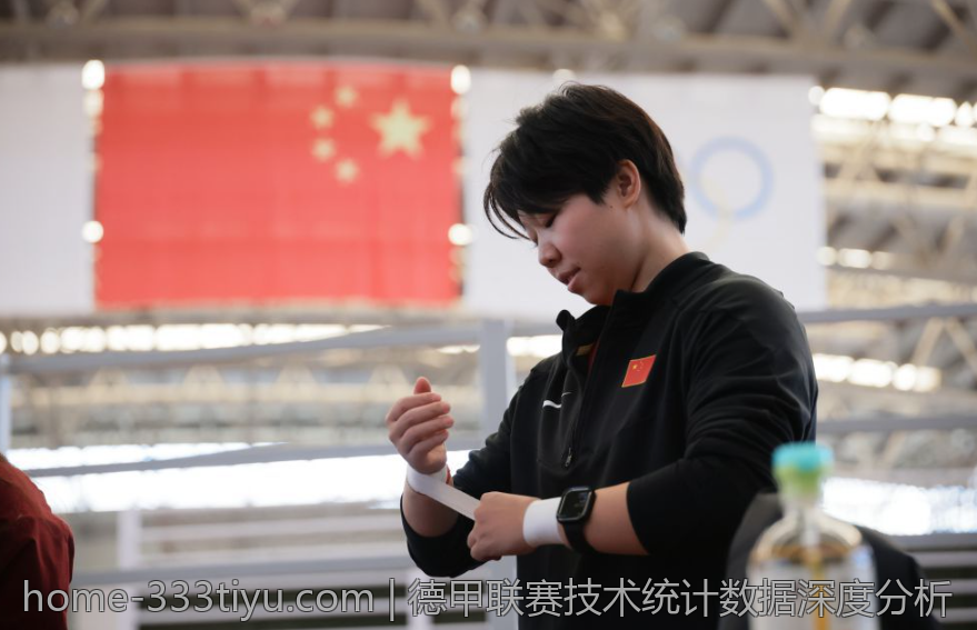 德甲联赛技术统计数据深度分析