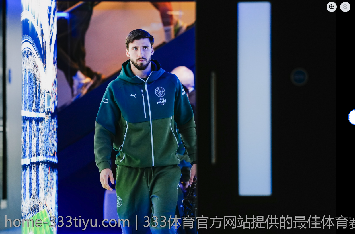 333体育官方网站提供的最佳体育赛事分析