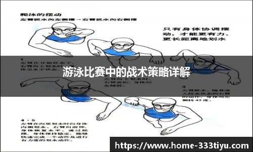 333体育平台